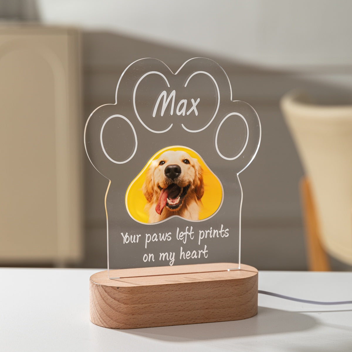 Custom paw-shaped acrylic photo lamp unlit daytime view – MoeCraze
