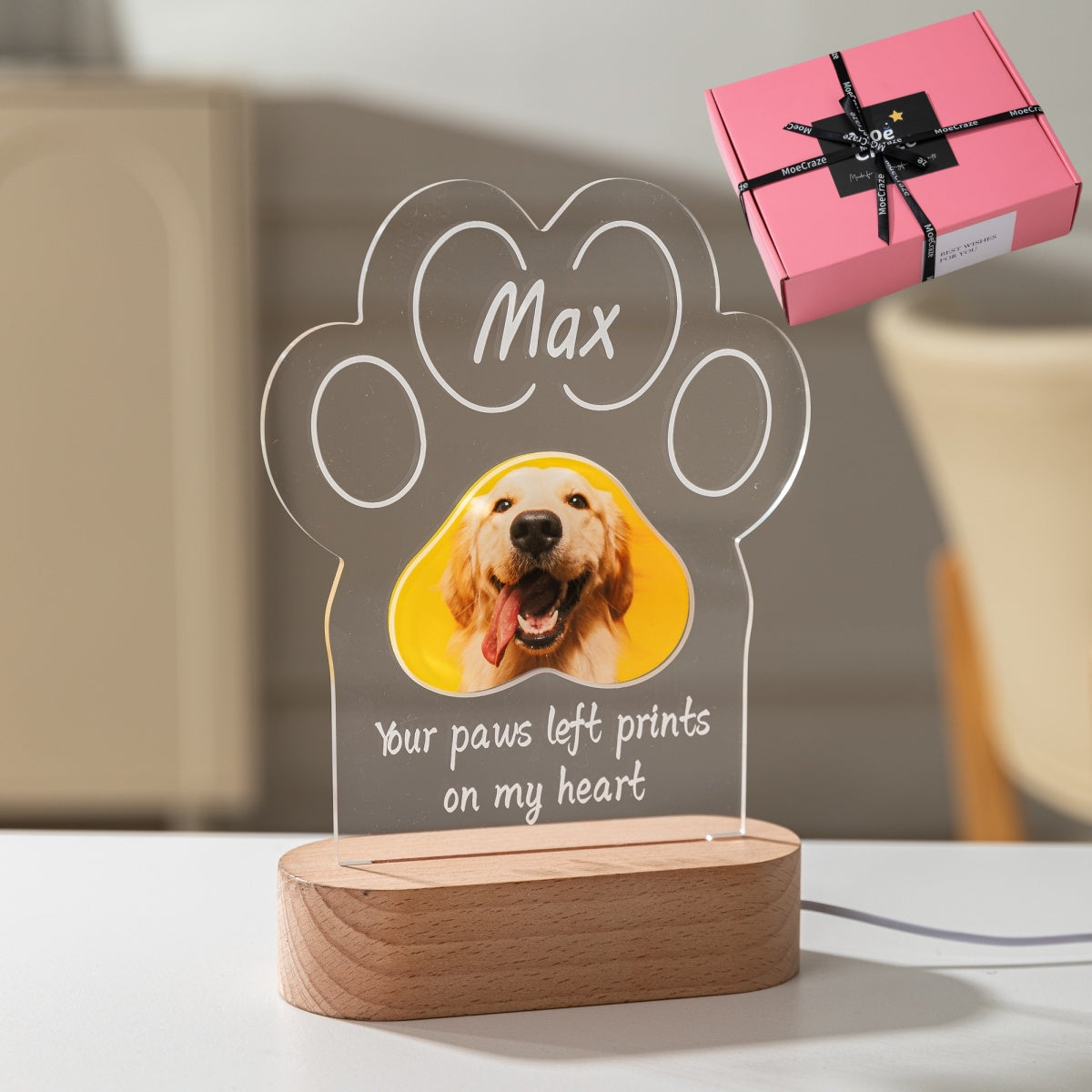 Pet memorial light with custom photo and name, ready for gifting – MoeCraze

