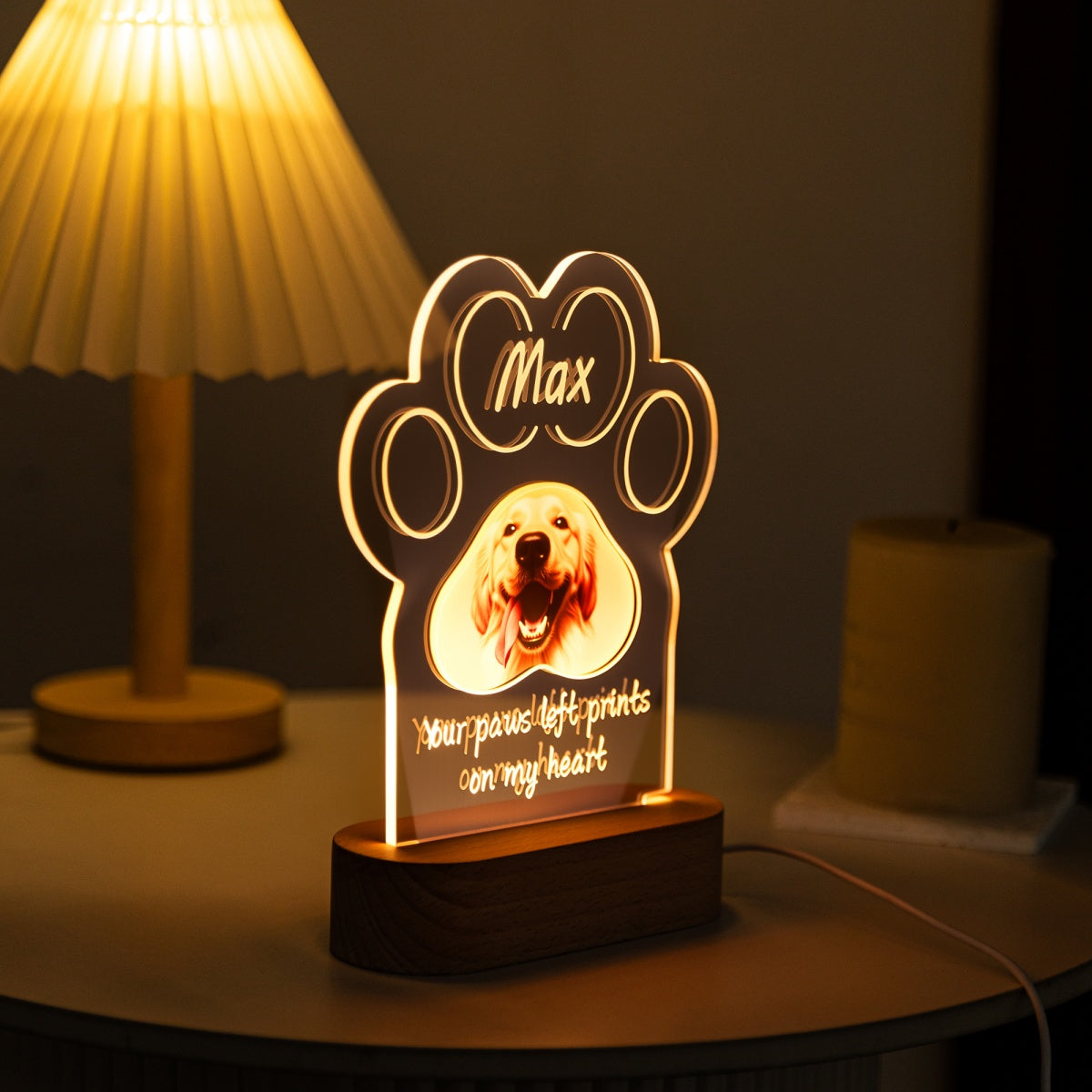 Warm LED pet photo memorial lamp with name engraving – MoeCraze
